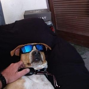 Meet your Posher, Cash